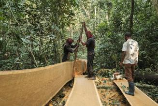 Forum consultivo per la revisione della Politica per l’Associazione FSC