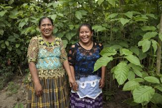 Il Guatemala punta sulle comunità forestali per ridurre gli incendi