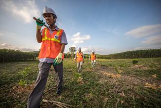 La sfida lanciata dai piccoli proprietari del Vietnam alla deforestazione