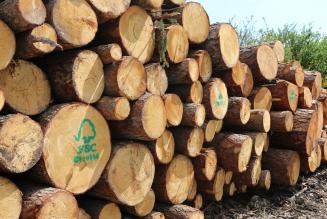 Posticipata l’entrata in vigore dei nuovi standard di Catena di Custodia