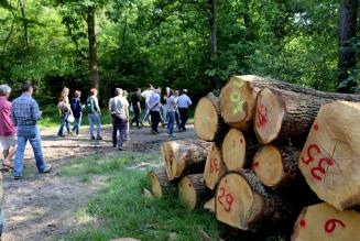 Aperte 3 nuove consultazioni su processi di certificazione FSC
