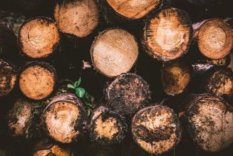 Uno studio sulla valutazione del rischio per l’approvvigionamento di legno controllato FSC nella Regione Friuli-Venezia Giulia e nelle Province autonome di Trento e Bolzano