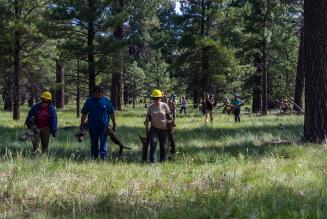 Pubblicata la traduzione del nuovo standard di Gruppo FSC
