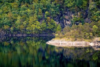Dalle foreste ai mari, è ora di ripristinare gli ecosistemi naturali