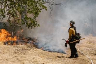 Perché si torna a parlare di incendi boschivi