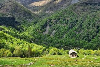 Aperte le consultazioni per la certificazione dell’Oasi Zegna (BI) e della Foresta di Tarvisio (UD)