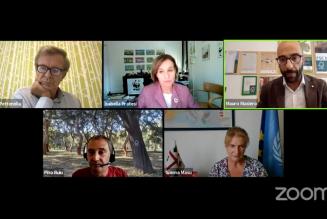 Quel filo conduttore (verde) che unisce foreste e persone