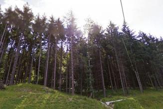 Incontro di consultazione degli stakeholder promosso da Campomo s.a.