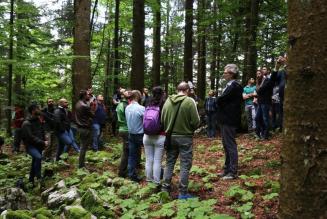 Aperte le pratiche di rinnovo della certificazione di gestione forestale del Comune di Asiago