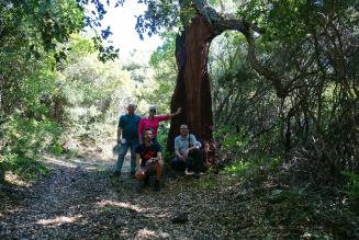 Nuove certificazioni di Gestione Forestale e dei Servizi Ecosistemici in Italia