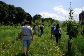 Nuovo appuntamento di formazione sulla gestione forestale FSC