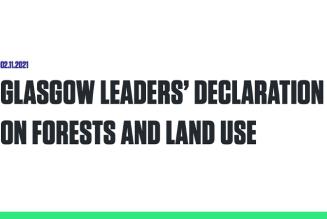 Stop alla deforestazione: FSC sulla Dichiarazione sulle foreste e l'uso del suolo della COP26