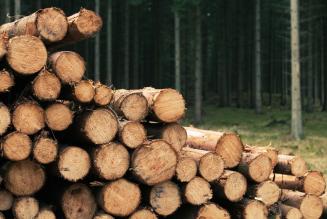 FSC solido schema di certificazione per la due diligence del legname, dice un nuovo studio