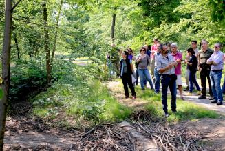 [CONSULTAZIONE] Bosco delle sorti della Partecipanza di Trino (VC)