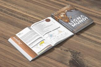 Un volume per conoscere i legni del mondo