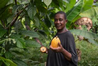 Cinque modi con cui abbiamo protetto foreste e persone quest'anno