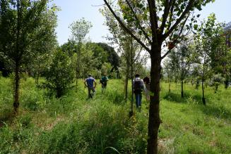 Gestione forestale FSC: nuovo appuntamento di formazione
