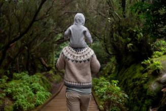 Foreste: infrastrutture sociali fondamentali nel post-pandemia