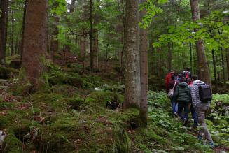 L’Italia ha una strategia forestale nazionale