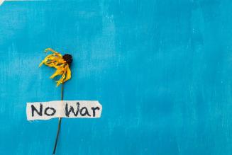 La posizione di FSC sulla guerra in Ucraina