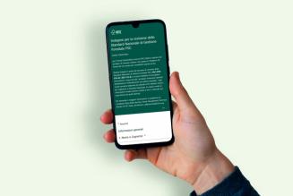 Lanciata la prima indagine per la revisione dello Standard Nazionale di Gestione Forestale FSC