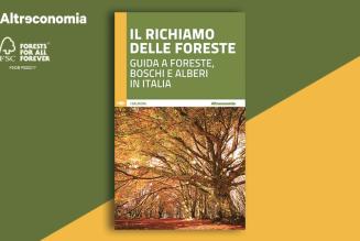 Una nuova guida ci insegna a scoprire ed amare i boschi