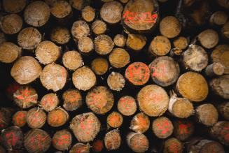 Aggiornamenti sulle misure intraprese per le organizzazioni in Russia e Bielorussia