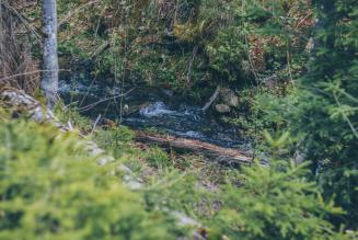 Sospesi i certificati nelle aree interessate dal conflitto in Ucraina