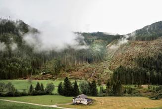 “Vaia, la lunga notte - Testimonianze” selezionato al Trento Film Festival