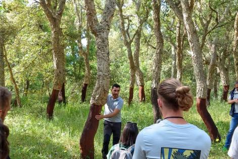 FSC Italia al Southern European Regional Meeting (SERM) di IFSA