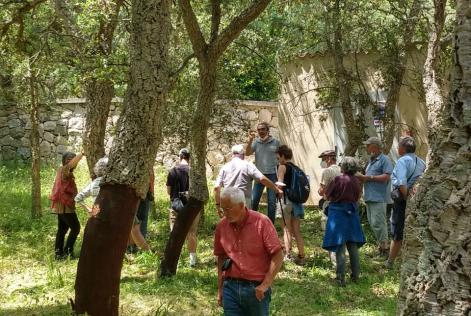 L’Association Forêt Méditerranéenne in visita alla sughereta sperimentale certificata FSC