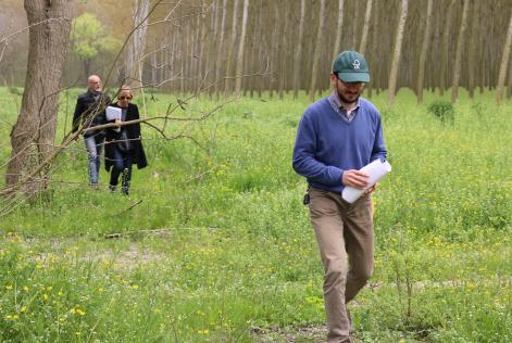 Chiusa la consultazione online sulla prima bozza dello standard nazionale di Gestione Forestale FSC