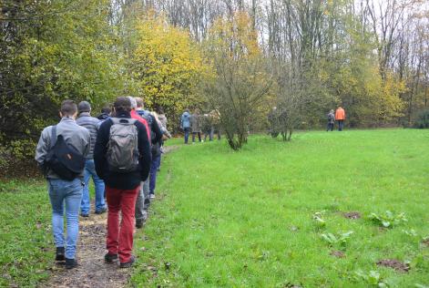 Webinar sulla consultazione dello standard per foreste piccole, a gestione comunitaria o di bassa intensità