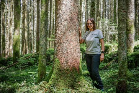 [Consultazione] Etifor s.r.l