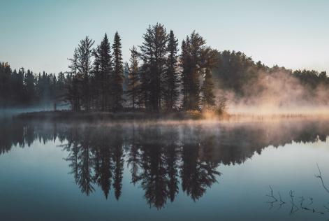 Approvata una mozione per aumentare la conservazione dei paesaggi forestali e culturali