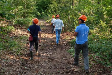 [UPDATE] Revisione dello Standard di Gestione Forestale FSC