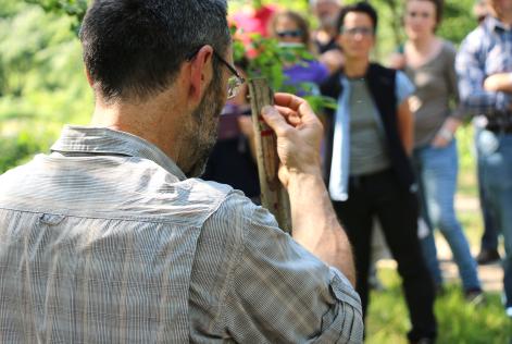 [CONSULTAZIONE] Revisione dello Standard Nazionale di Gestione Forestale FSC