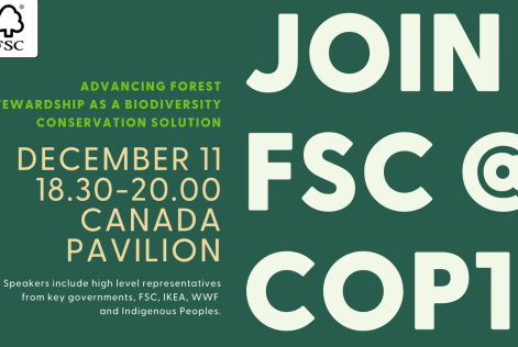 COP 15, FSC: gestione forestale come soluzione per la biodiversità