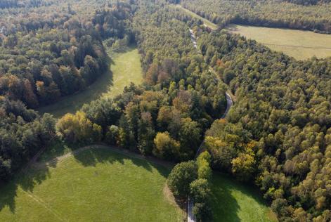 [WEBINAR] Crediti di carbonio e foreste: iniziative UE e nuove soluzioni