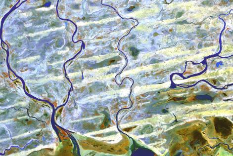 La tecnologia al servizio delle grandi sfide forestali