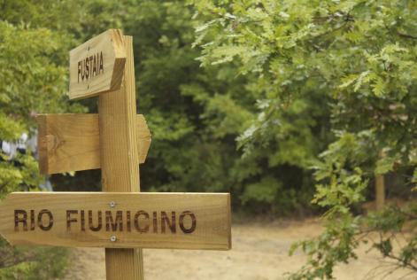 [CONSULTAZIONE] Selvamar s.s.