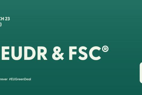 [WEBINAR] FSC e il nuovo Regolamento Europeo sulla Deforestazione