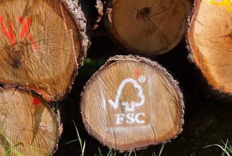 Pubblicate nuove interpretazioni sulla Catena di Custodia FSC