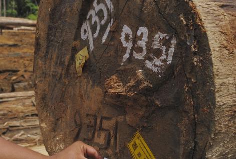 [CONSULTAZIONE] Nota d’Avviso 40-004-20 V2-0 FSC Directive on Chain of Custody Certification