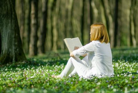 7 libri sui boschi da leggere a fine estate