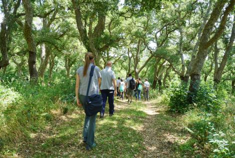 Ciclo di incontri sulle opportunità per la sughericoltura in Sardegna