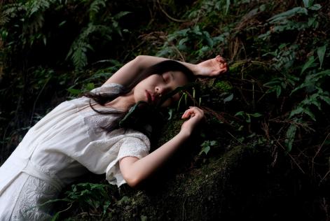 La responsabilità nel settore del fashion inizia dalle foreste