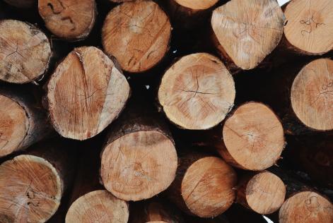 Pubblicata Nota d’Avviso relativa all’origine di prodotti certificati FSC provenienti da specie a rischio