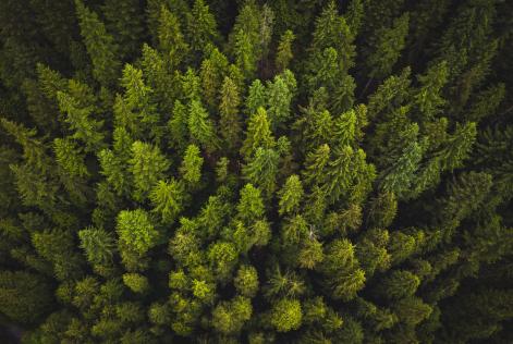 [CONSULTAZIONE] Revisione delle procedure di reclamo e di appello FSC