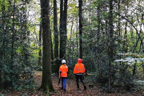 Workshop on FSC Core Labour Requirements